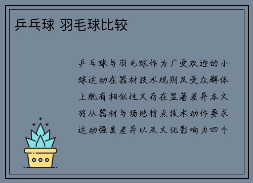 乒乓球 羽毛球比较