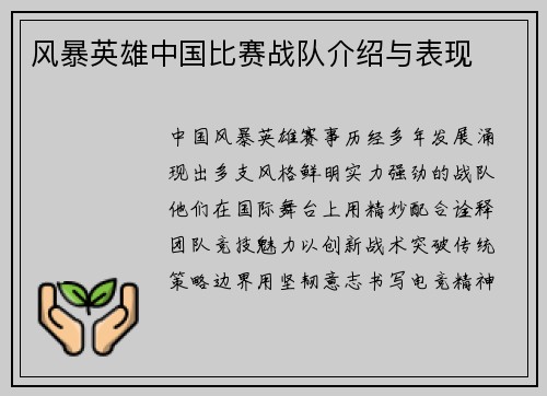 风暴英雄中国比赛战队介绍与表现